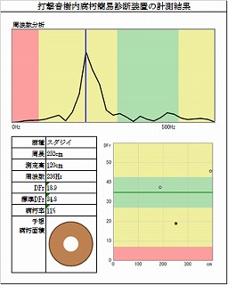 スジダイの内部空洞診断