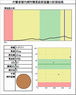 スジダイの腐朽診断