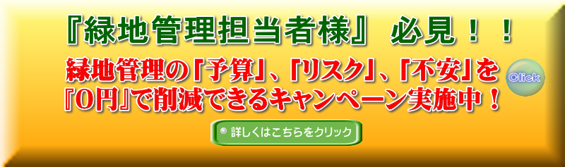 キャンペーン