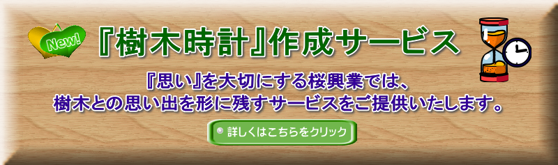 キャンペーン
