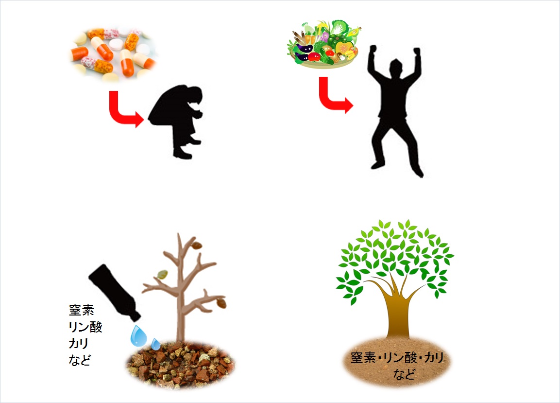 施肥イメージ画像